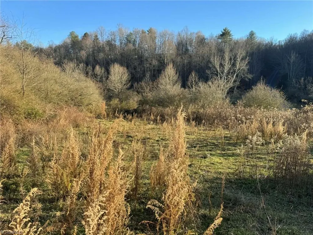 002 Rock Creek Ch Road North Wilkesboro, NC 28659