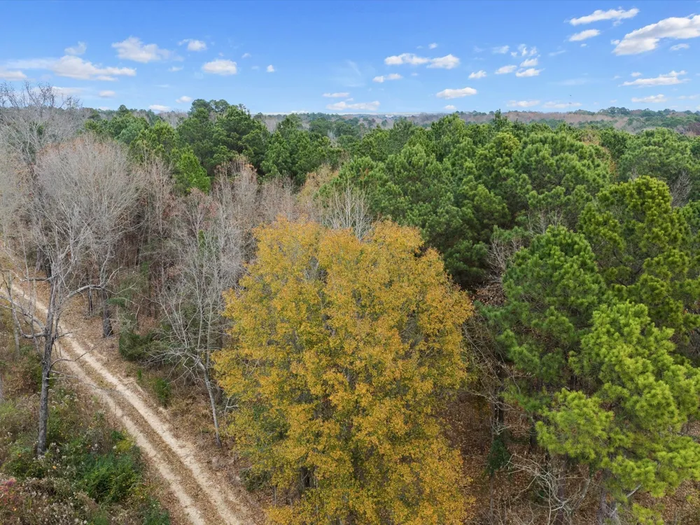 Ward Marshall, TX 75670