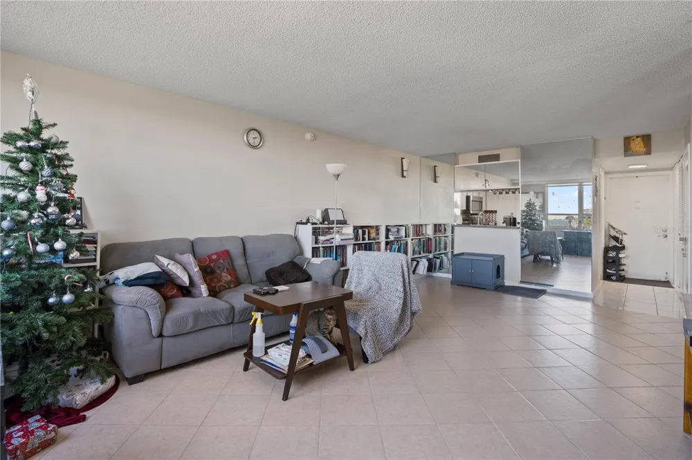 2621 COVE CAY DRIVE #804 Clearwater, FL 33760