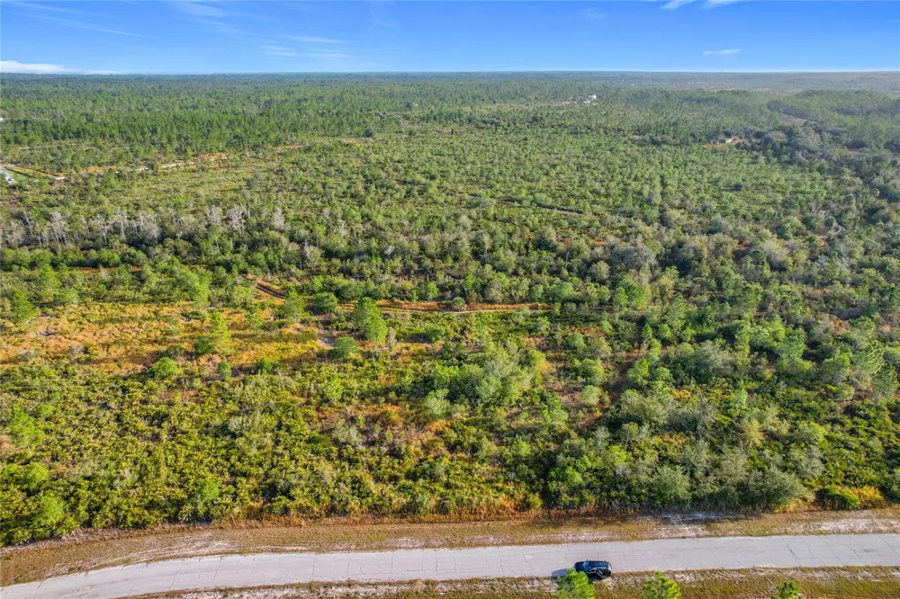 LOT 81 MEADOW LARK BOULEVARD Lake Wales, FL 33898