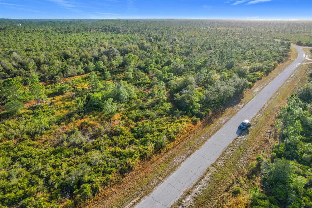 LOT 81 MEADOW LARK BOULEVARD Lake Wales, FL 33898