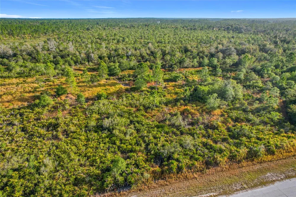 LOT 81 MEADOW LARK BOULEVARD Lake Wales, FL 33898