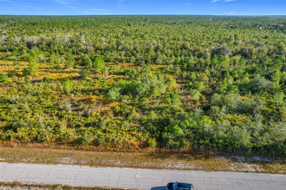 LOT 81 MEADOW LARK BOULEVARD Lake Wales, FL 33898
