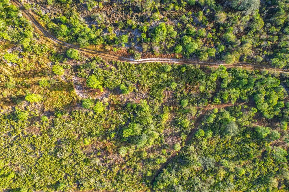 LOT 81 MEADOW LARK BOULEVARD Lake Wales, FL 33898