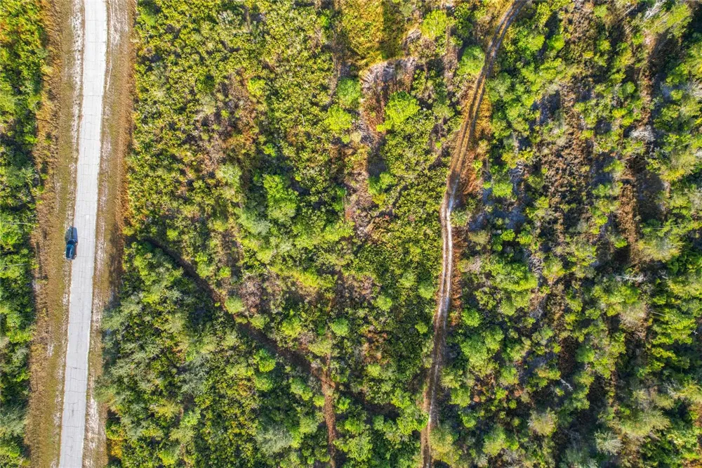 LOT 81 MEADOW LARK BOULEVARD Lake Wales, FL 33898