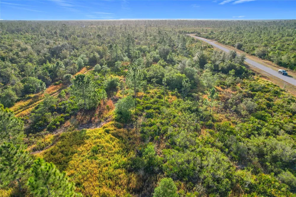 LOT 81 MEADOW LARK BOULEVARD Lake Wales, FL 33898