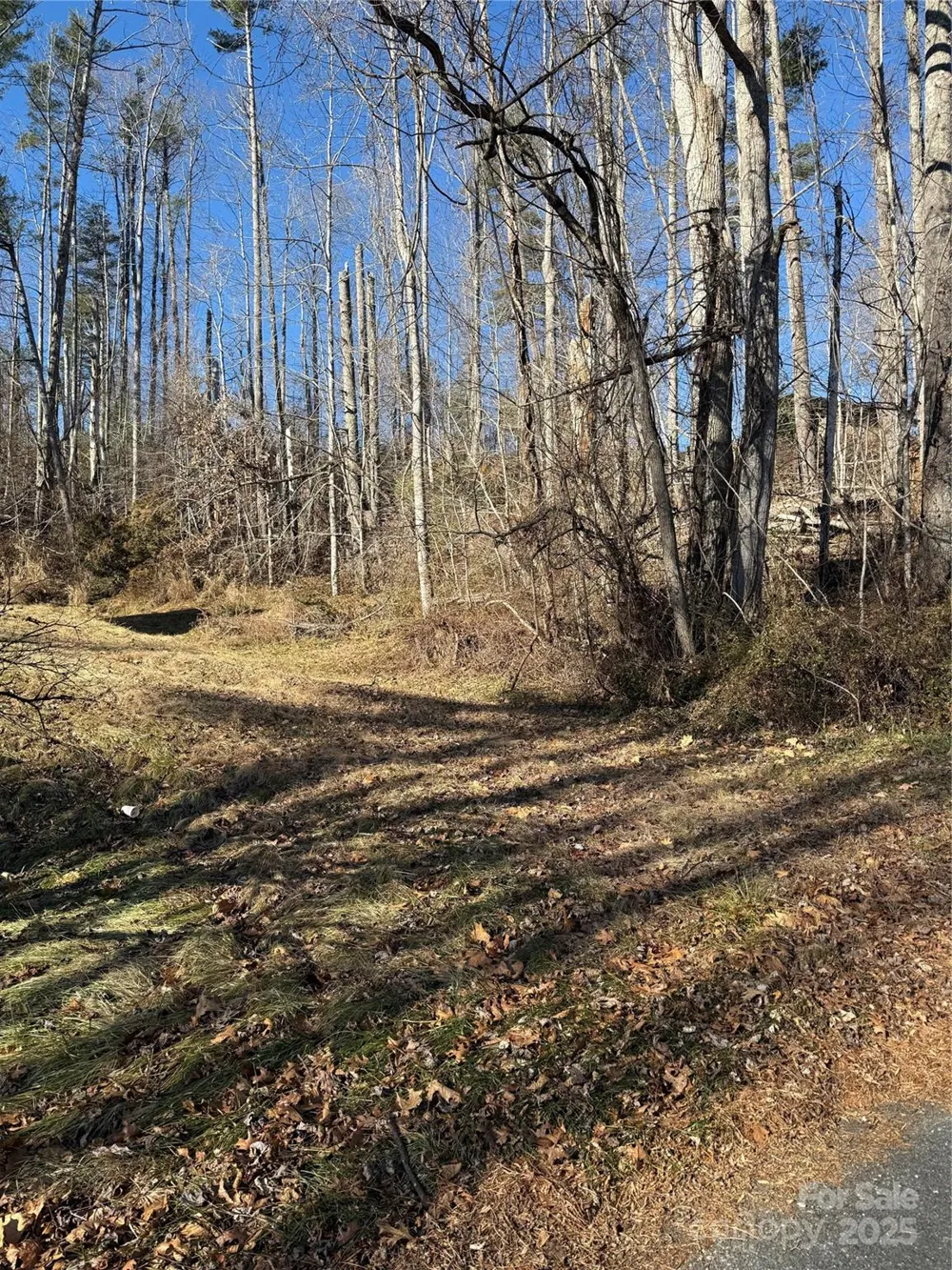 TBD George McKinney Circle Spruce Pine, NC 28777