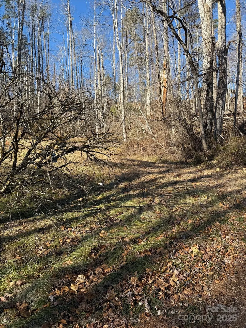 TBD George McKinney Circle Spruce Pine, NC 28777