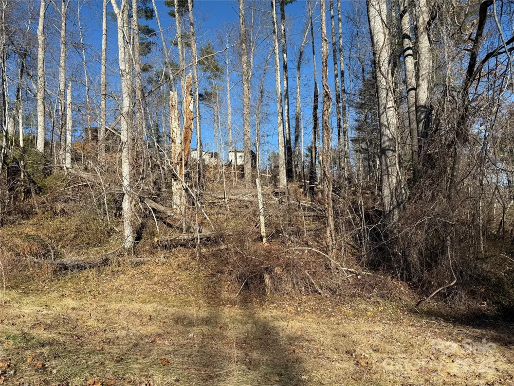 TBD George McKinney Circle Spruce Pine, NC 28777