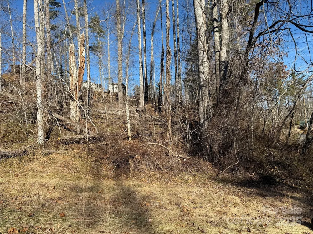 TBD George McKinney Circle Spruce Pine, NC 28777