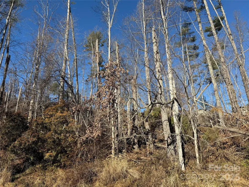 TBD George McKinney Circle Spruce Pine, NC 28777