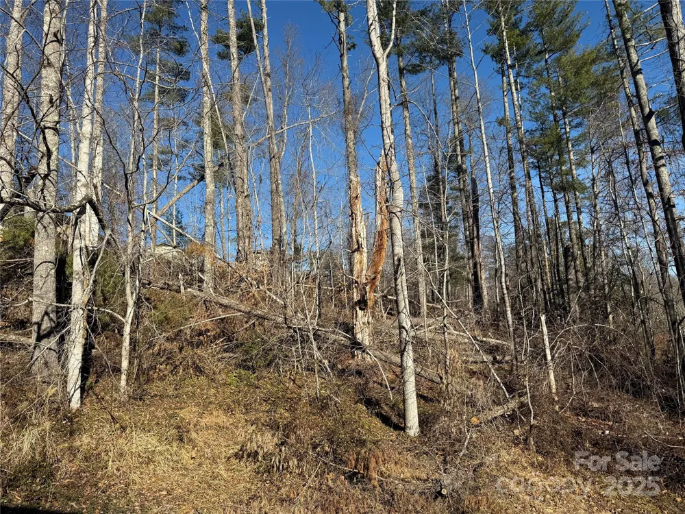 TBD George McKinney Circle Spruce Pine, NC 28777