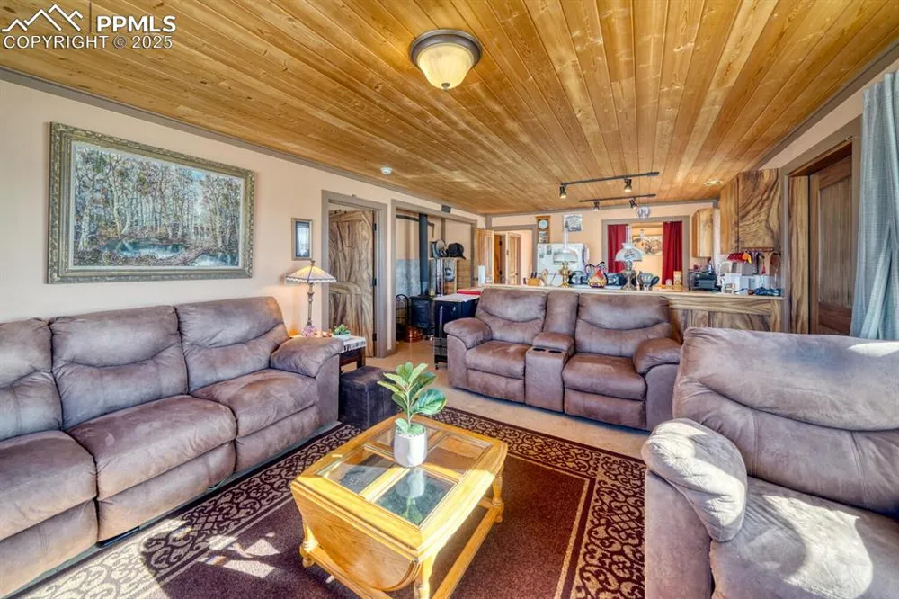 565 Pass Peak Drive Westcliffe, CO 81252