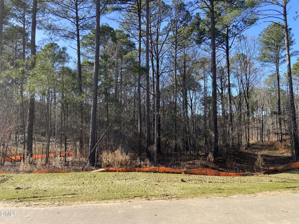 6608 Bartley Point Drive New Hill, NC 27562