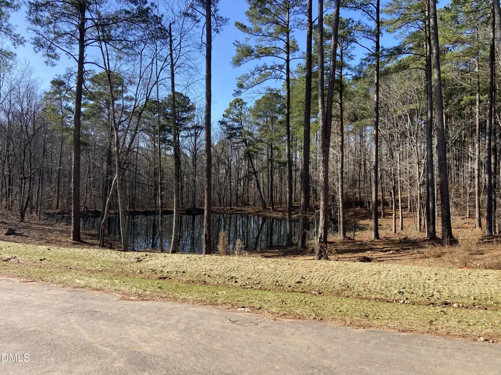 6713 Bartley Point Drive New Hill, NC 27562