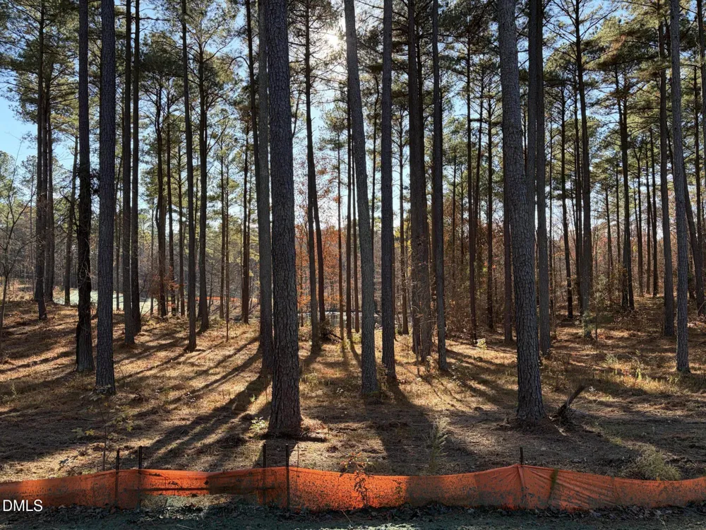 6713 Bartley Point Drive New Hill, NC 27562