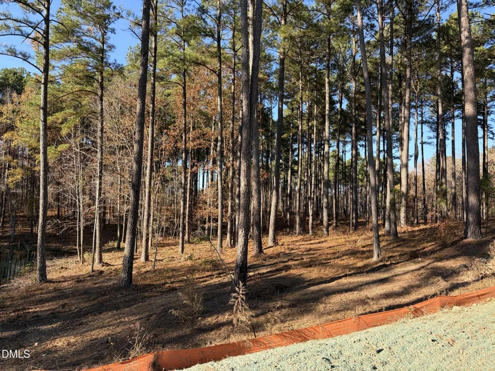 6713 Bartley Point Drive New Hill, NC 27562