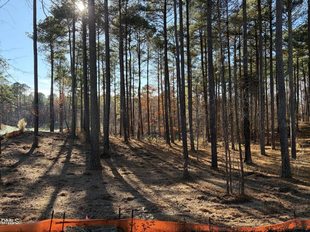 6713 Bartley Point Drive New Hill, NC 27562