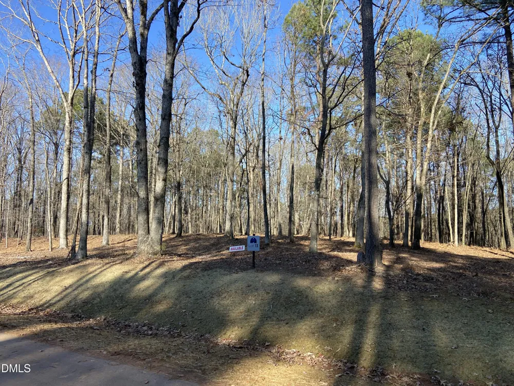 6728 Bartley Point Drive New Hill, NC 27562
