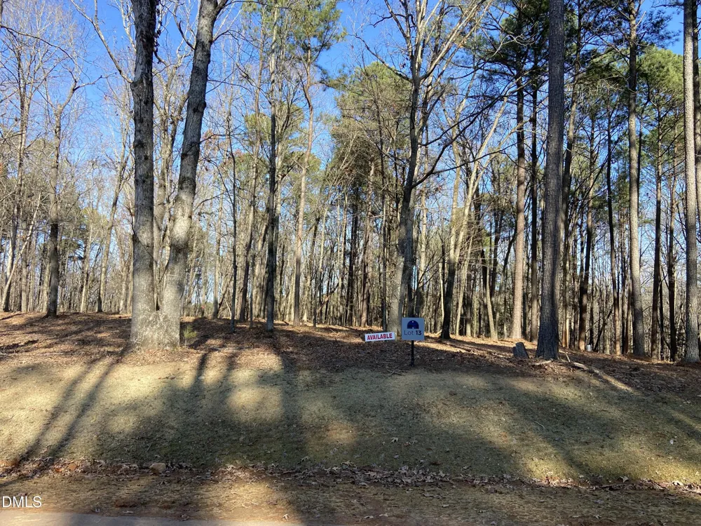 6728 Bartley Point Drive New Hill, NC 27562