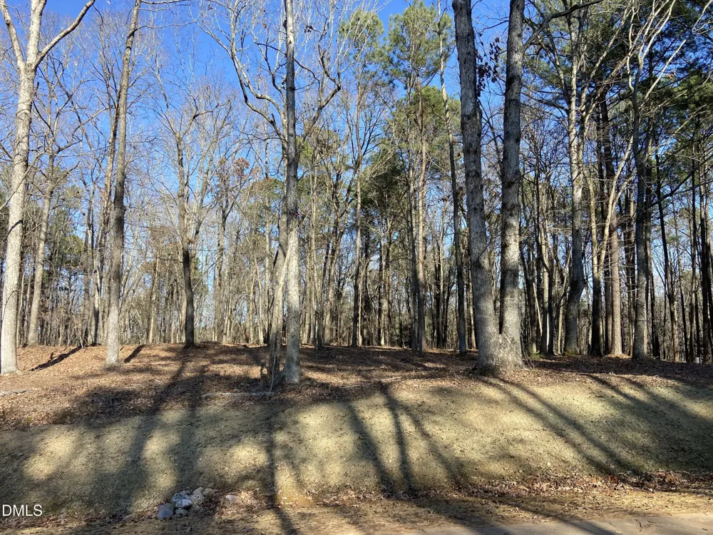 6728 Bartley Point Drive New Hill, NC 27562