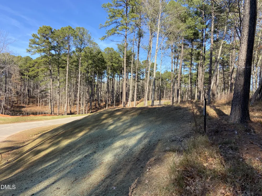 9113 Moon Lake Lane New Hill, NC 27562