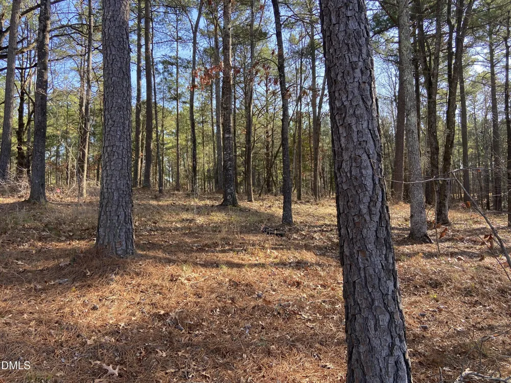 9113 Moon Lake Lane New Hill, NC 27562