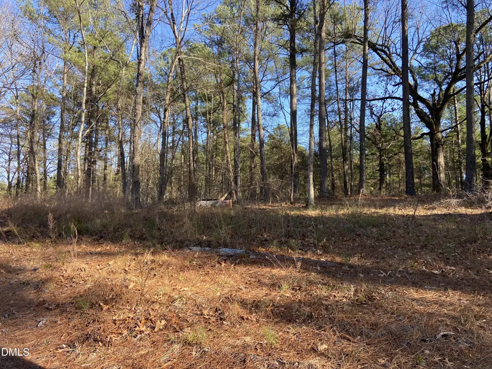 9113 Moon Lake Lane New Hill, NC 27562