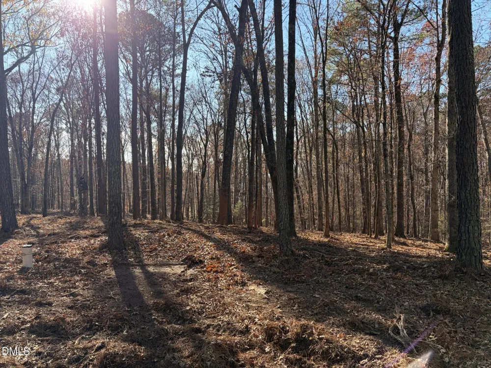 6729 Bartley Point Drive New Hill, NC 27562