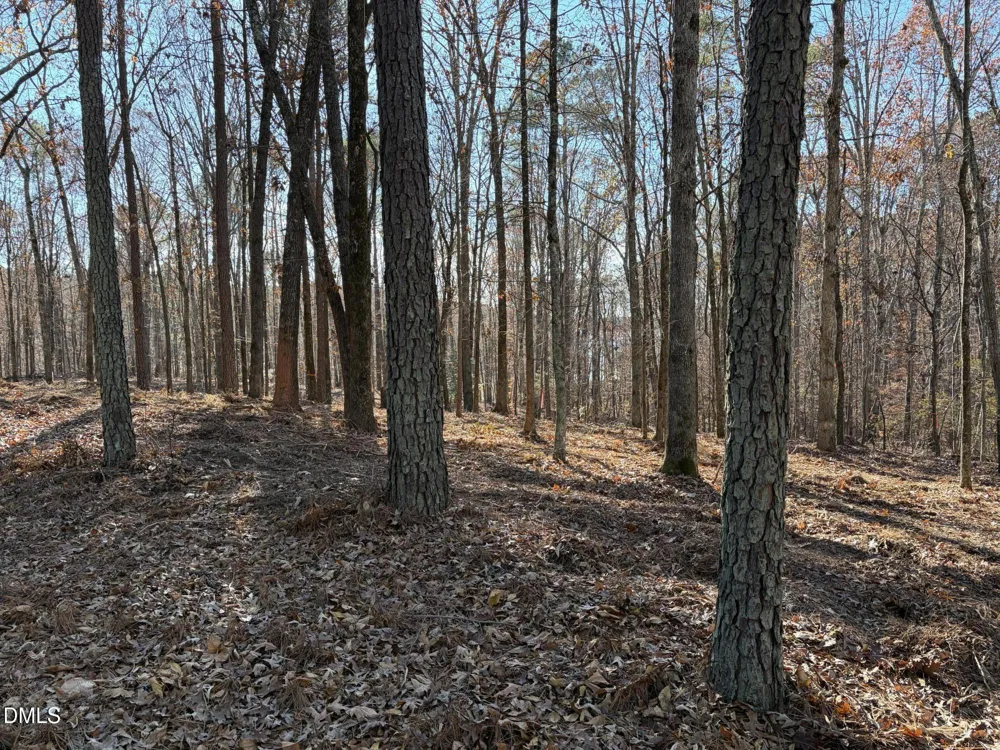 6729 Bartley Point Drive New Hill, NC 27562