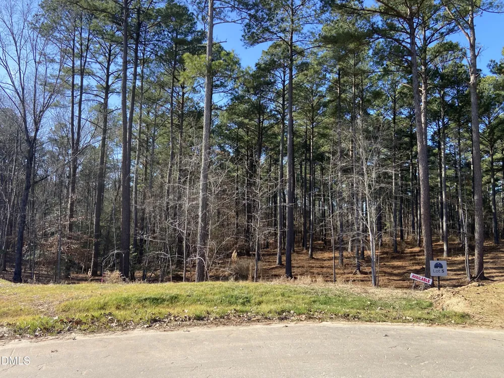 8917 Morning Song Court New Hill, NC 27562