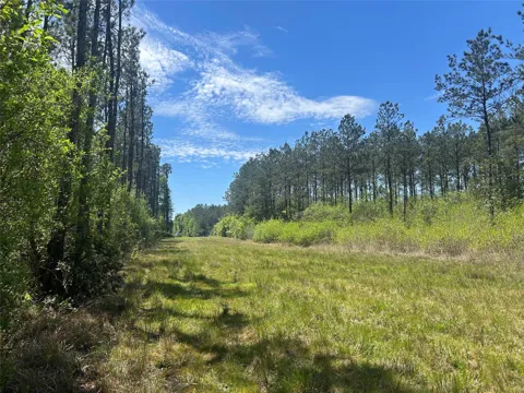 39 Carter Ranch Road