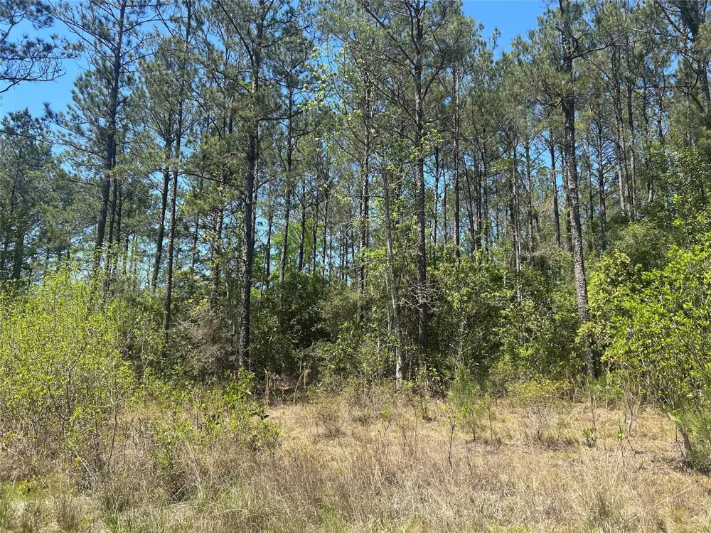 39 Carter Ranch Road Kountze, TX 77625