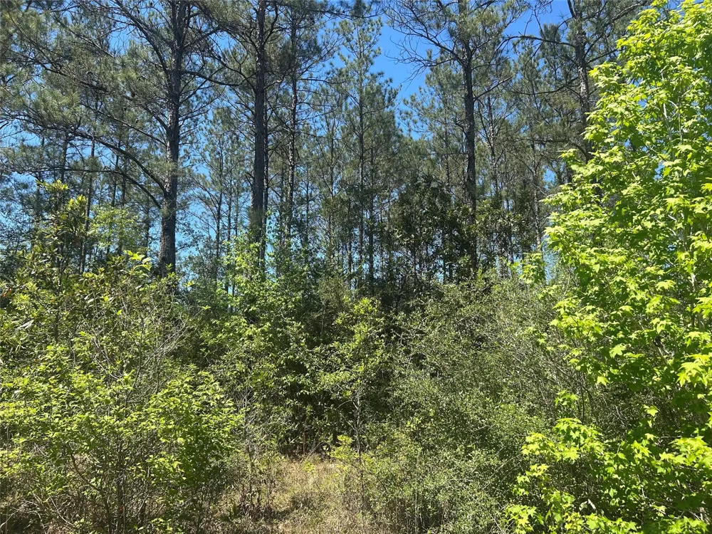 39 Carter Ranch Road Kountze, TX 77625