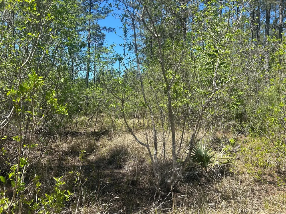 39 Carter Ranch Road Kountze, TX 77625