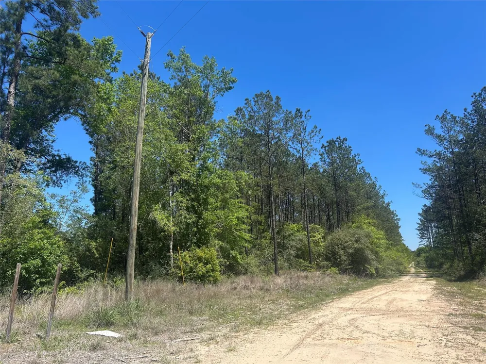 39 Carter Ranch Road Kountze, TX 77625