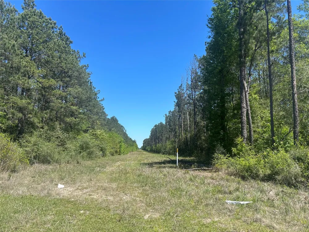 39 Carter Ranch Road Kountze, TX 77625