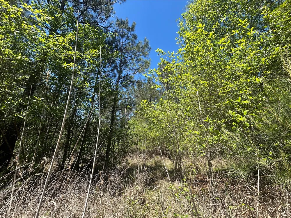 39 Carter Ranch Road Kountze, TX 77625