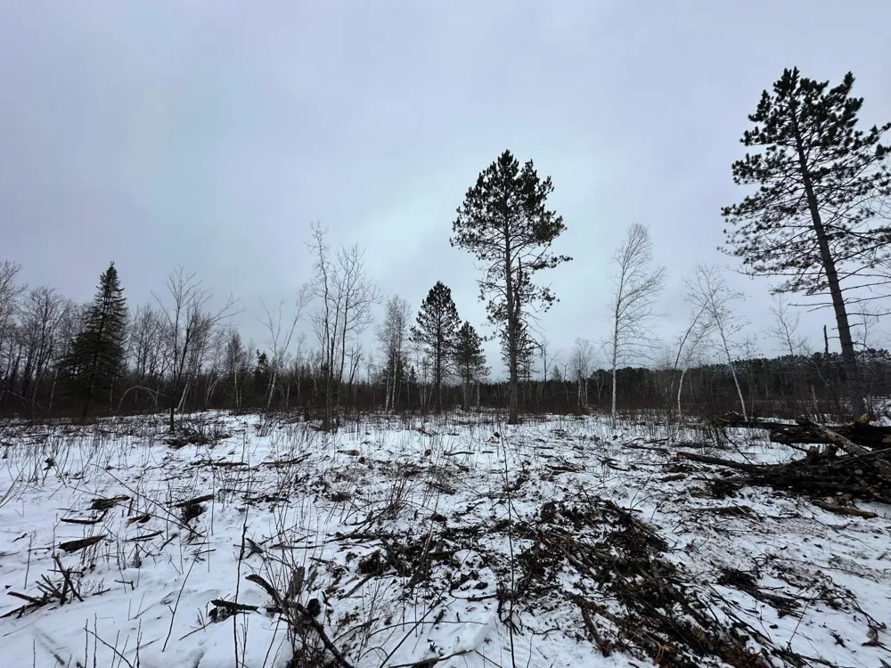 TBD #4 Koecher Road Kerrick, MN 55756
