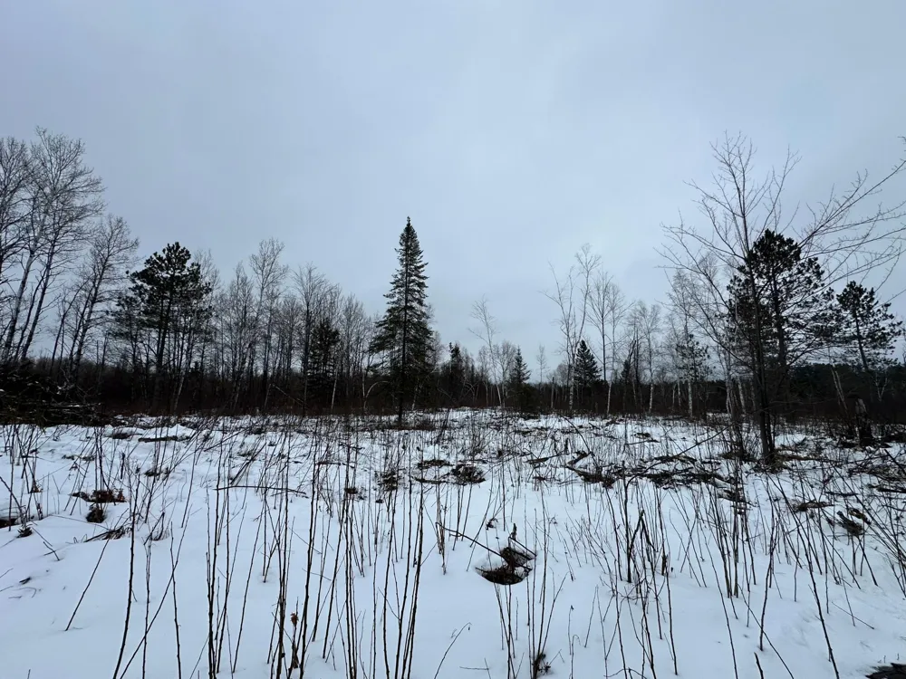 TBD #4 Koecher Road Kerrick, MN 55756