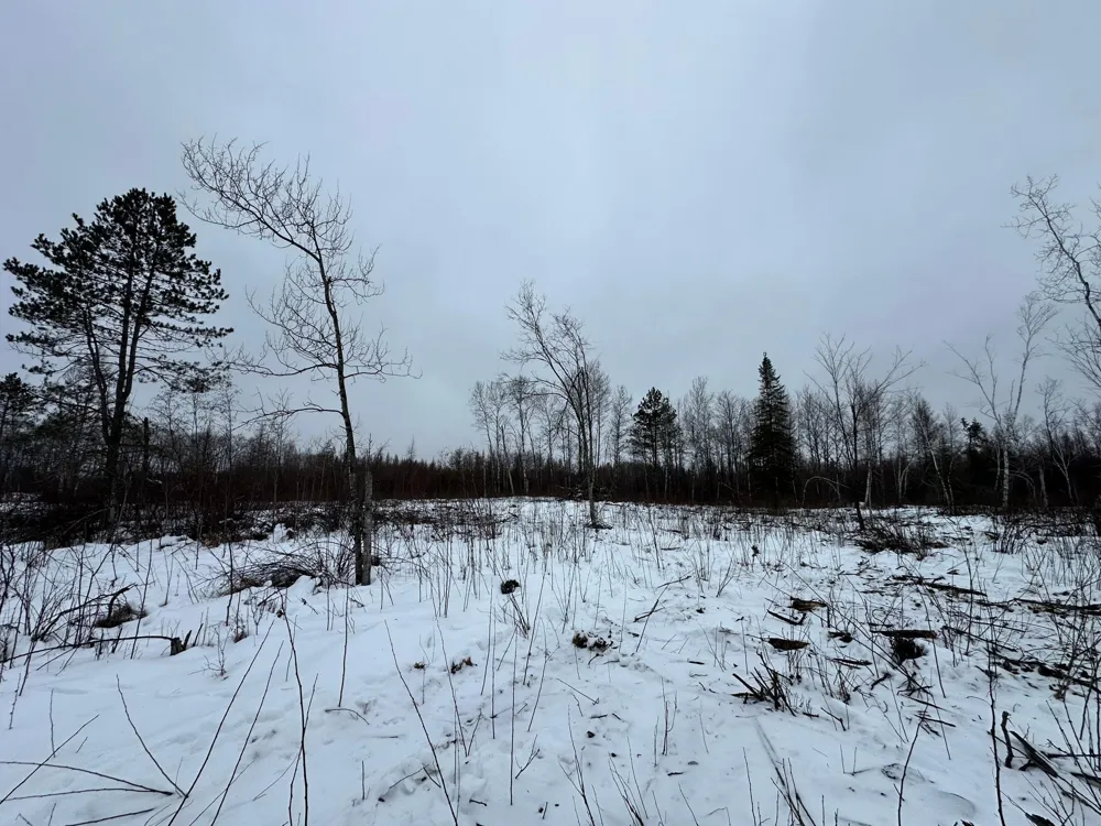 TBD #4 Koecher Road Kerrick, MN 55756