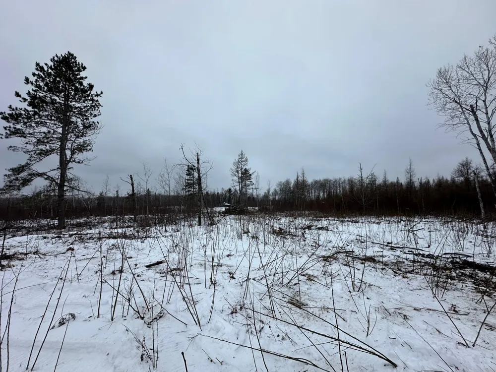 TBD #4 Koecher Road Kerrick, MN 55756