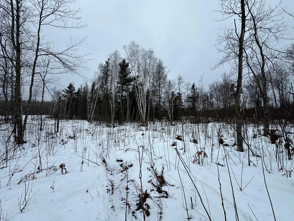 TBD #4 Koecher Road Kerrick, MN 55756