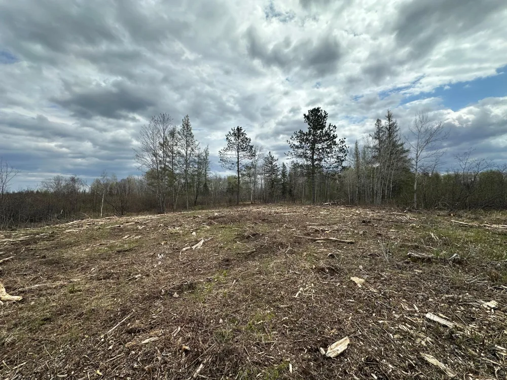 TBD #1 Koecher Road Kerrick, MN 55756