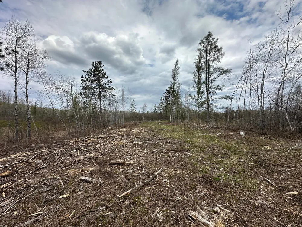 TBD #1 Koecher Road Kerrick, MN 55756