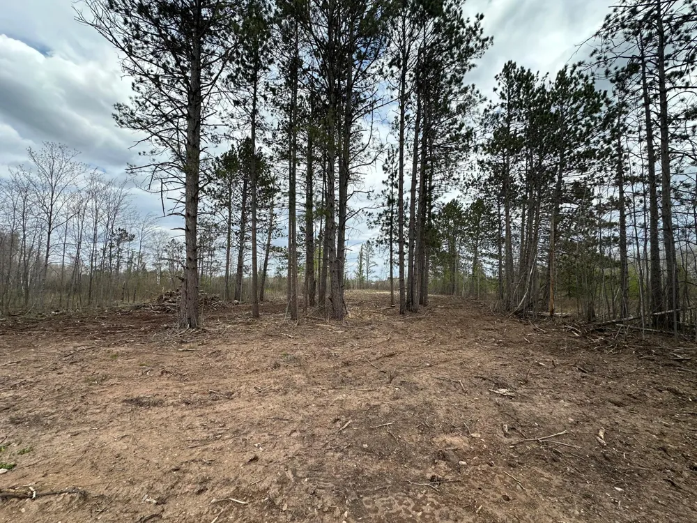 TBD #1 Koecher Road Kerrick, MN 55756