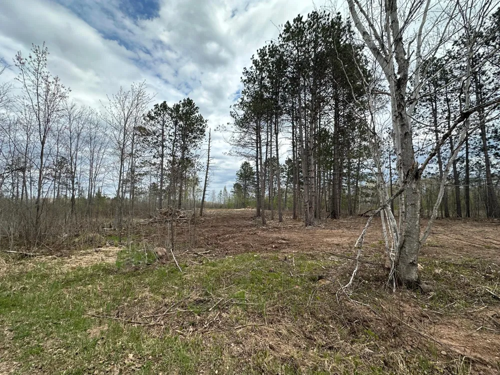 TBD #1 Koecher Road Kerrick, MN 55756