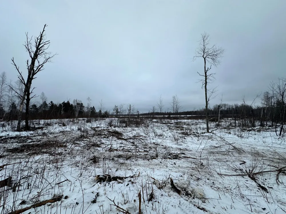 TBD #3 Koecher Road Kerrick, MN 55756