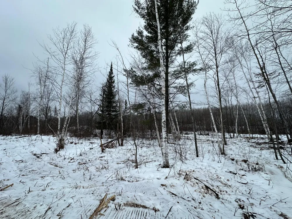 TBD #3 Koecher Road Kerrick, MN 55756