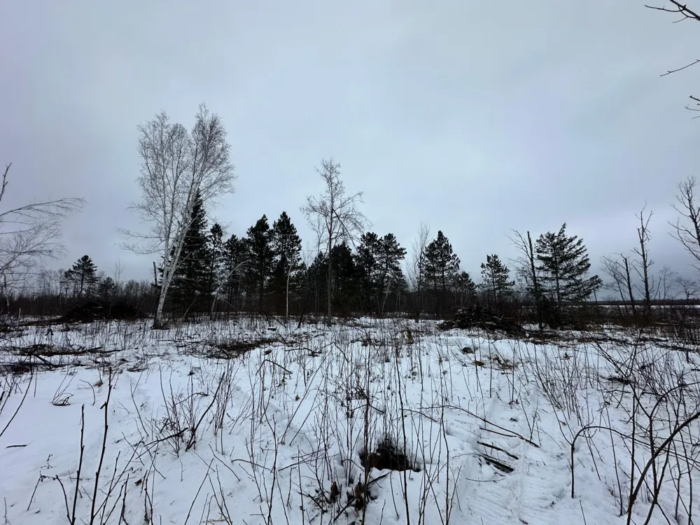 TBD #3 Koecher Road Kerrick, MN 55756